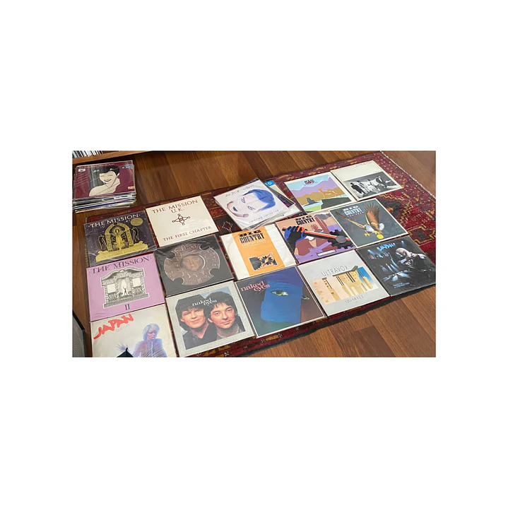 Colección completa de 50 Vinilos Usados 4