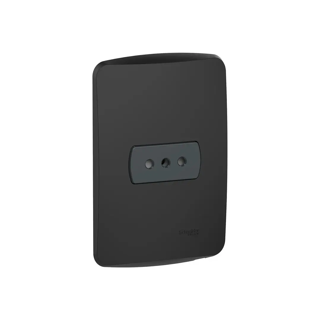 Enchufe Simple 10A Grafito Miluz Schneider 1