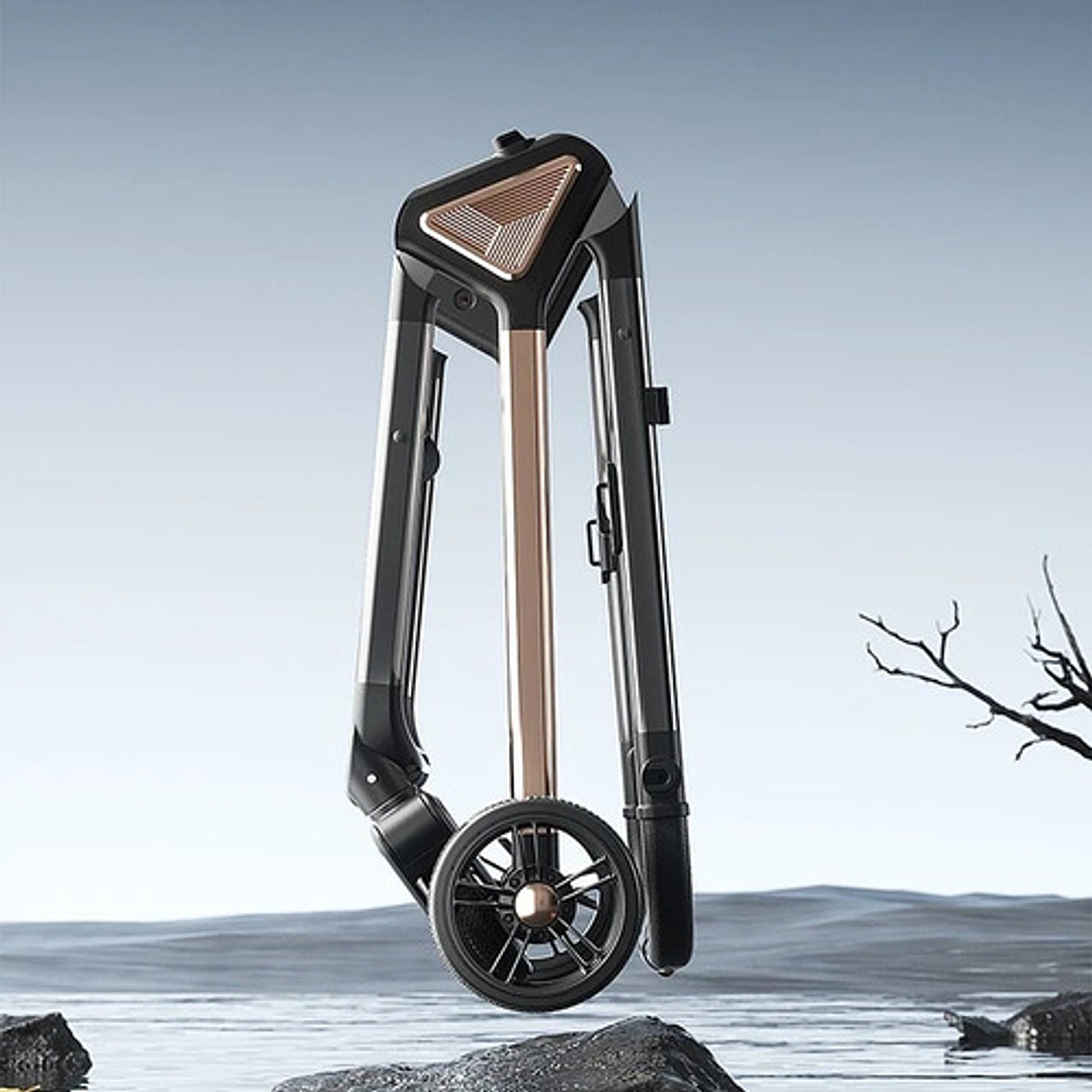 Coche De Paseo Premium Reclinable Y Plegable 2