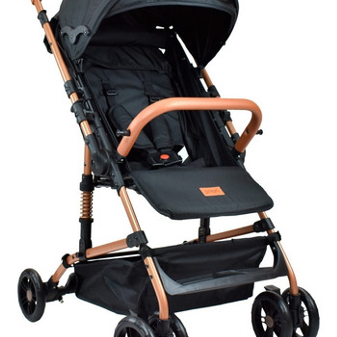 Coche Bebe Priori Viena 1