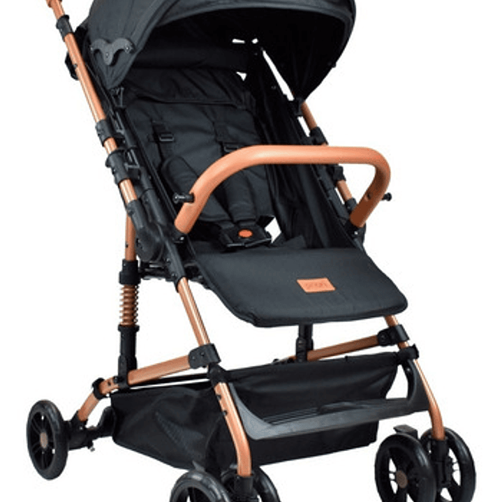 Coche Bebe Priori Viena 1