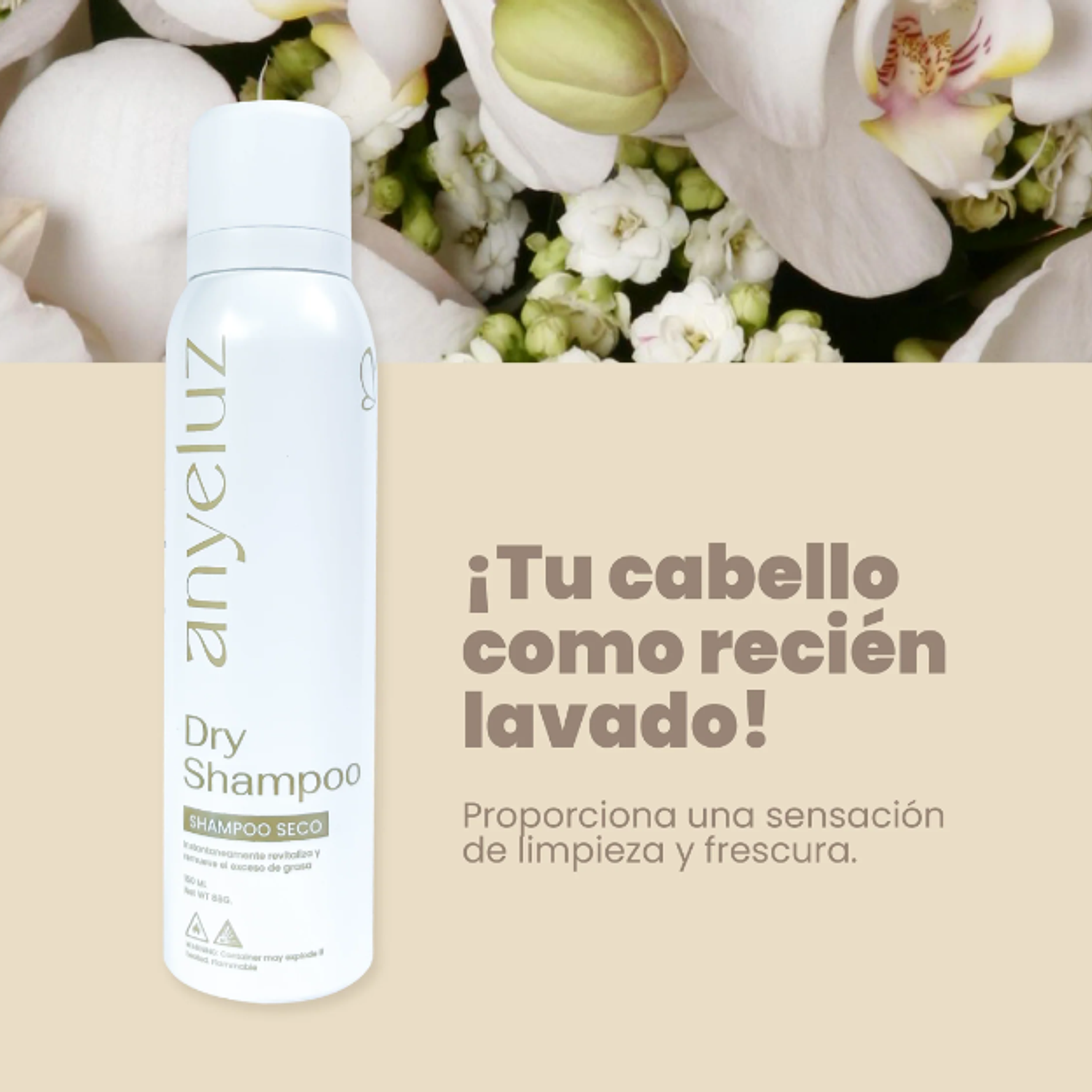 Shampoo Seco Anyeluz  2