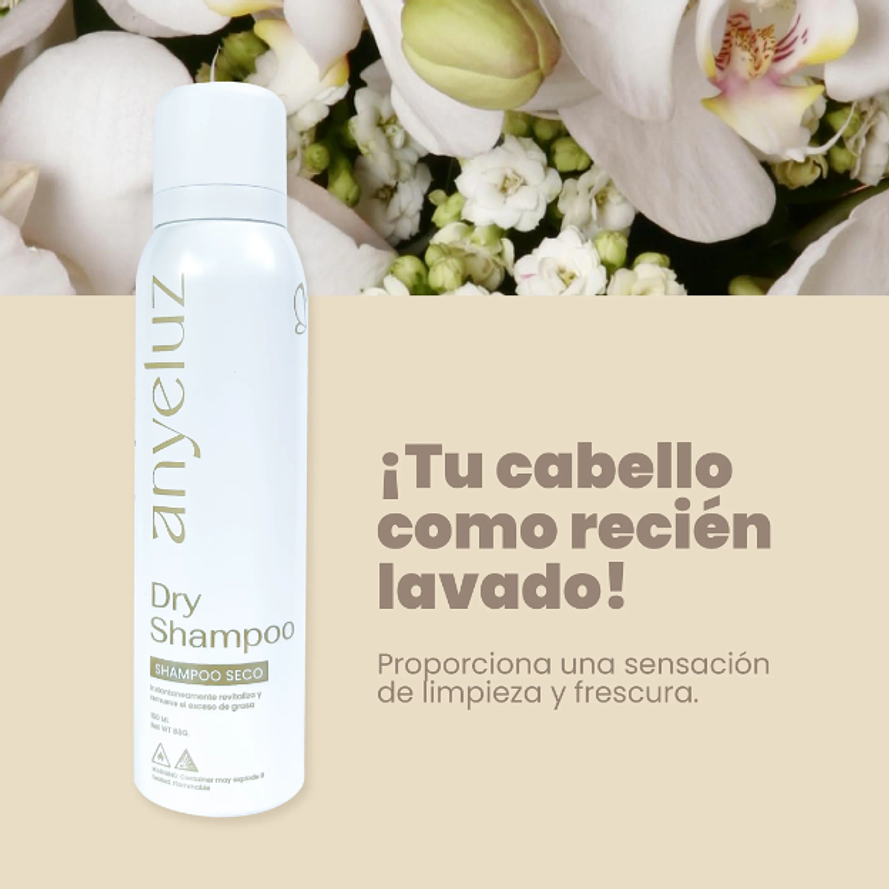 Shampoo Seco Anyeluz  2