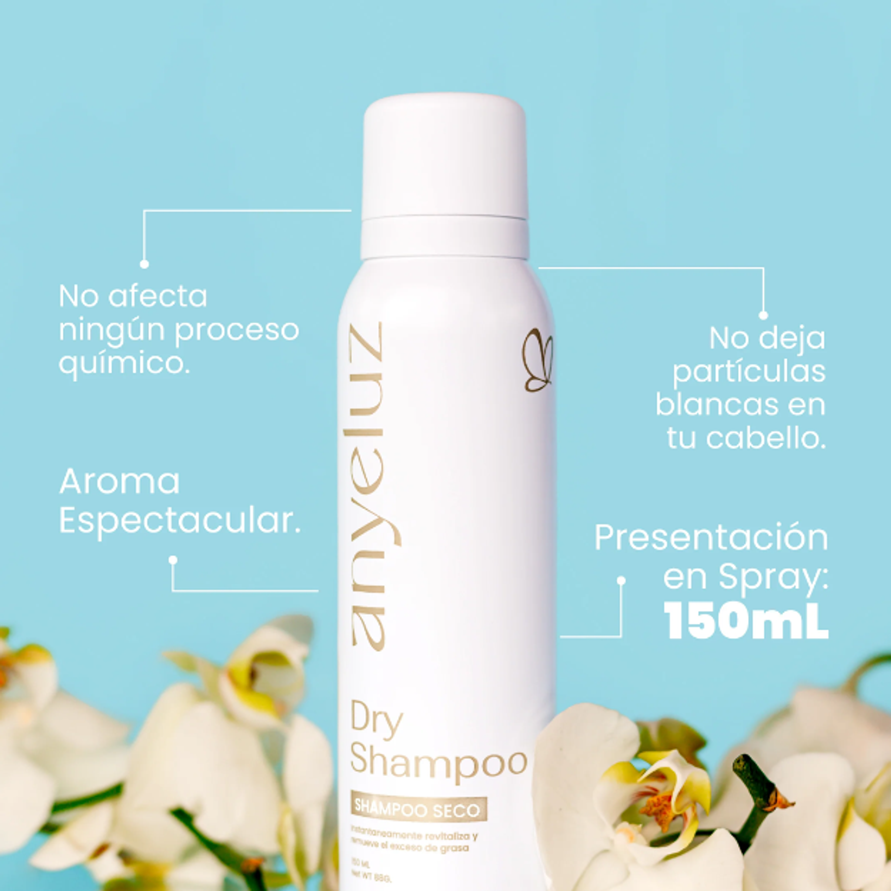 Shampoo Seco Anyeluz  3