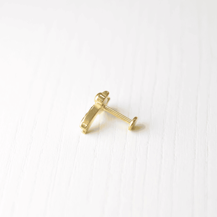 LABRET COLIBRI CIRCONES 2