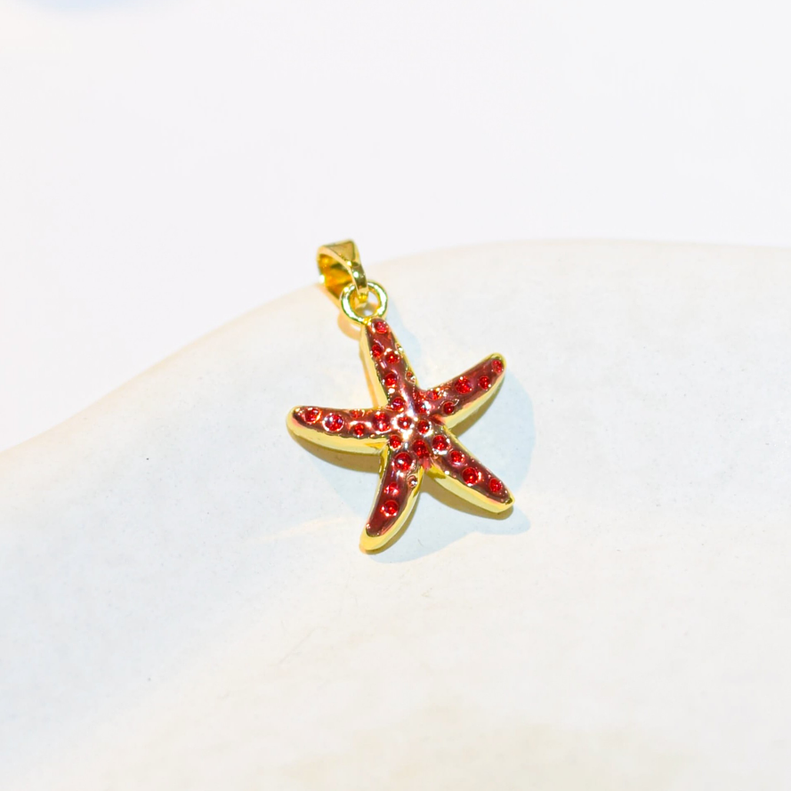DIJE ESTRELLA DE MAR