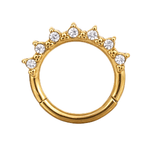 ARGOLLA CIRCONES - ACERO 316L