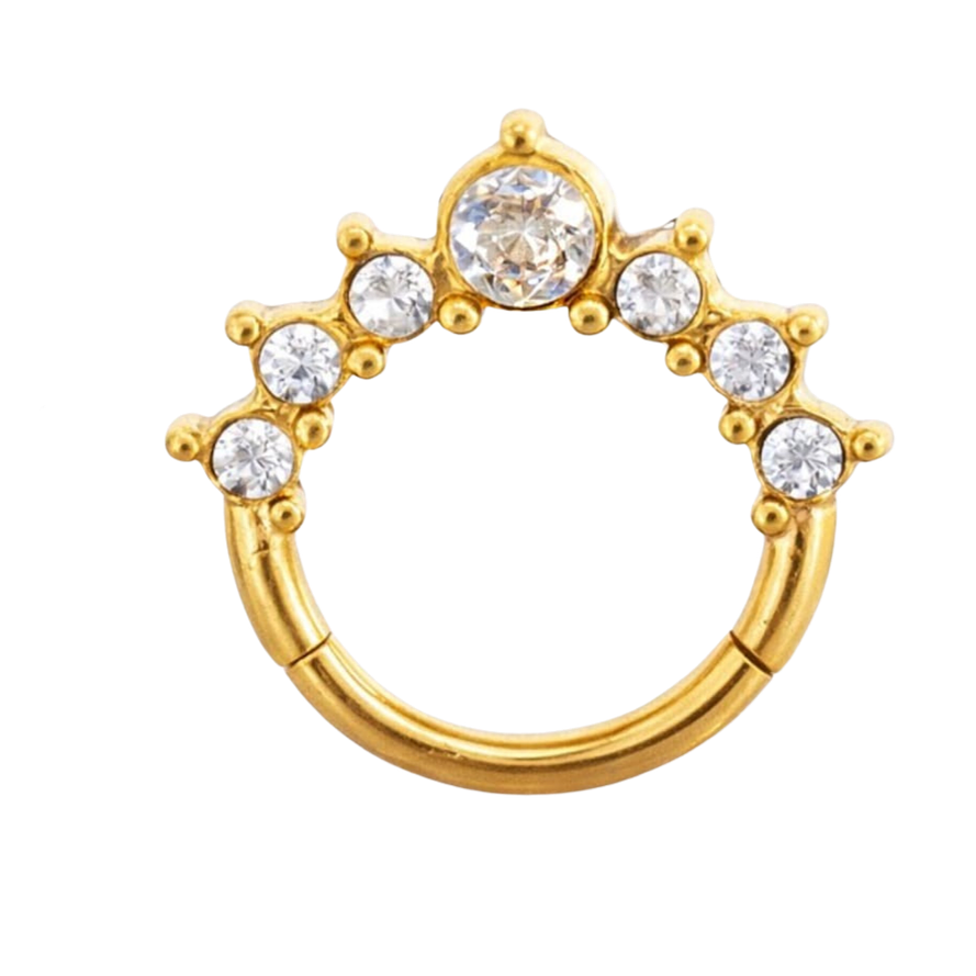 ARGOLLA CIRCONES - ACERO 316L