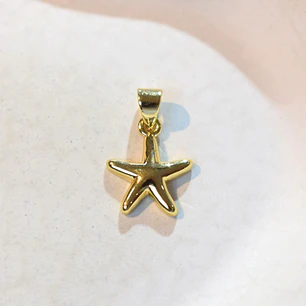 DIJE ESTRELLA DE MAR