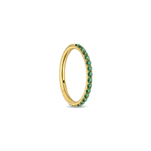 ARGOLLA CIRCONES VERDE - ACERO 316L