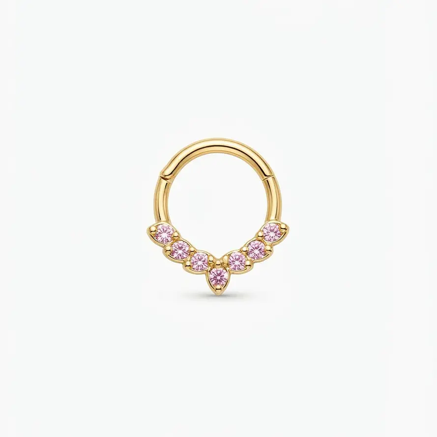 ARGOLLA CIRCONES ROSA - ACERO 316L