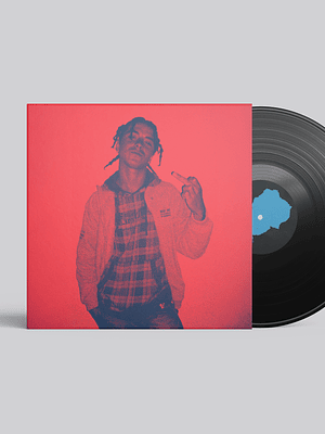 Vinil Desde a Origem