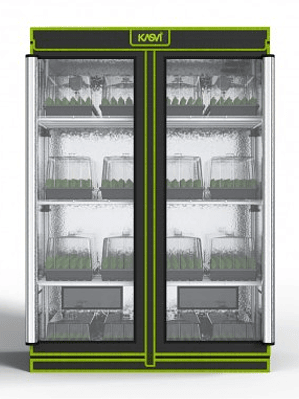 CARPA CROPBOX DE CULTIVO ESQUEJES CON RACK 120X60X180-KASVI