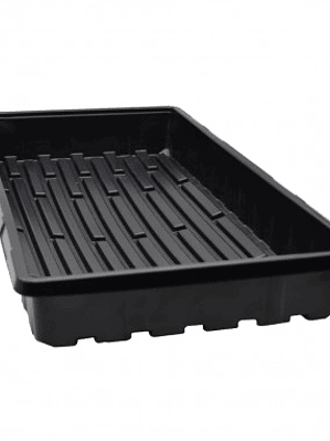 BANDEJA PARA CUPULA 54X28X7CM