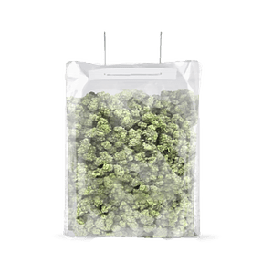 BOLSA TERPLOC TERPY BAG 0,5-1 KG-GROVE BAGS