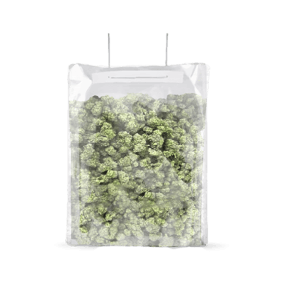 BOLSA TERPLOC TERPY BAG 0,5-1 KG-GROVE BAGS 1