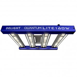 QUANTUM LITE 160W-DELIGHT