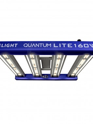 QUANTUM LITE 160W-DELIGHT