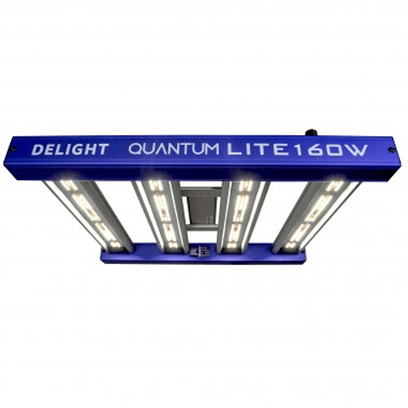 QUANTUM LITE 160W-DELIGHT 1