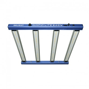 NEW QUANTUM LITE 240W-DELIGHT