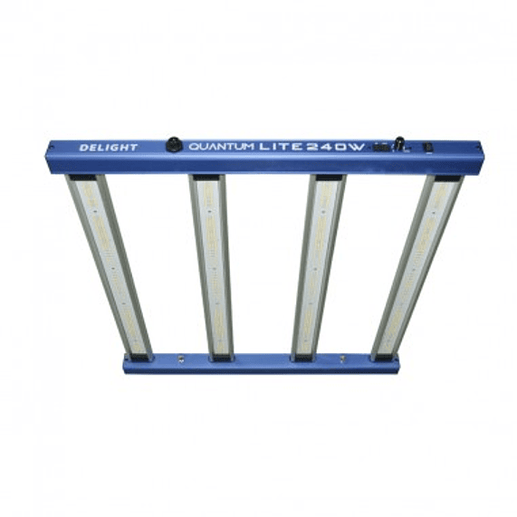 NEW QUANTUM LITE 240W-DELIGHT 1