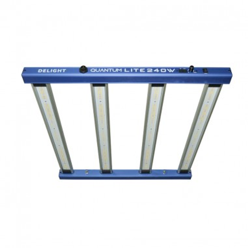 NEW QUANTUM LITE 240W-DELIGHT 1