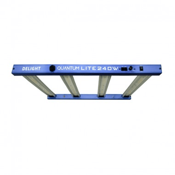 NEW QUANTUM LITE 240W-DELIGHT 3