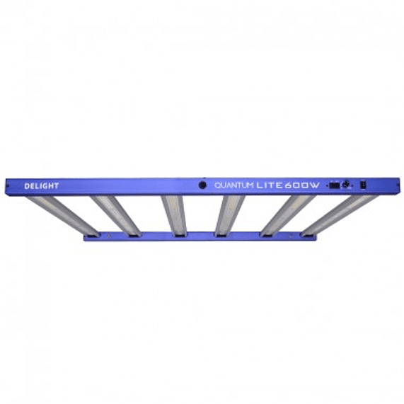 NEW QUANTUM LITE 600W-DELIGHT 1