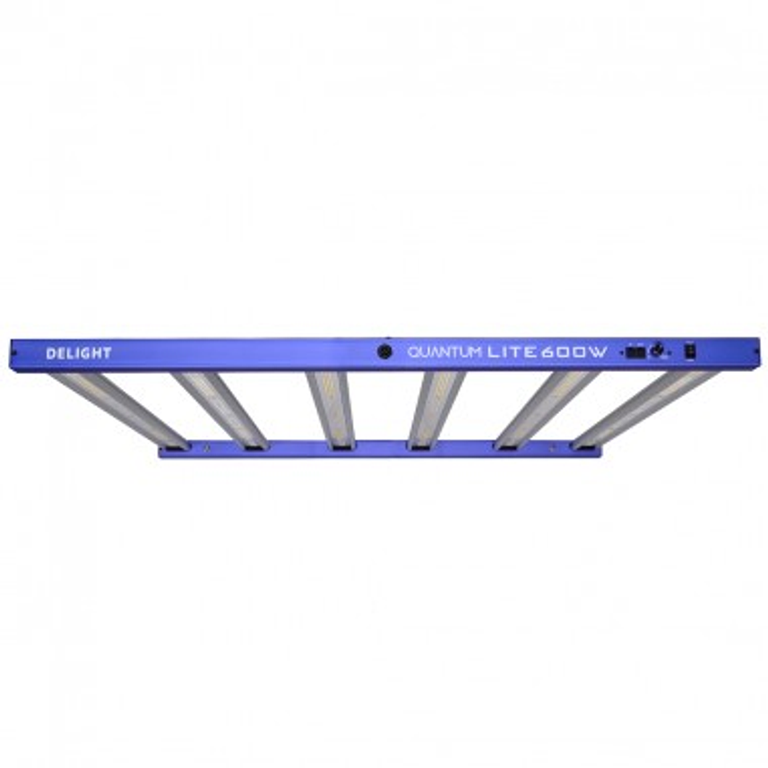 NEW QUANTUM LITE 600W-DELIGHT 1