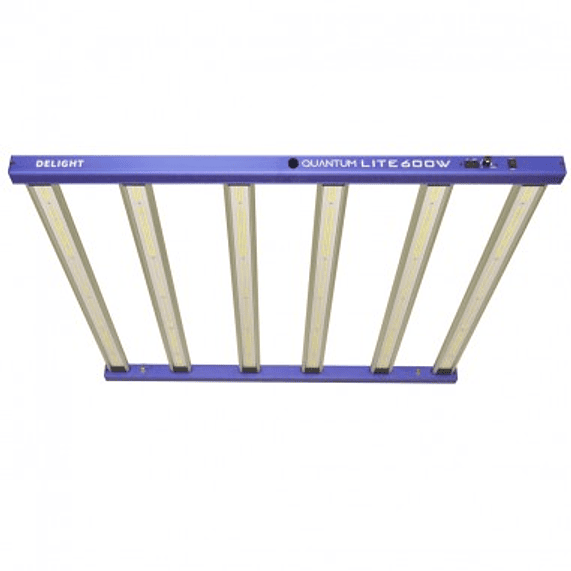 NEW QUANTUM LITE 600W-DELIGHT 2