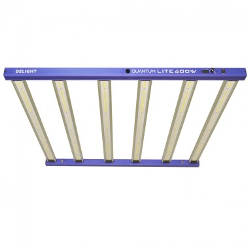 NEW QUANTUM LITE 600W-DELIGHT 2