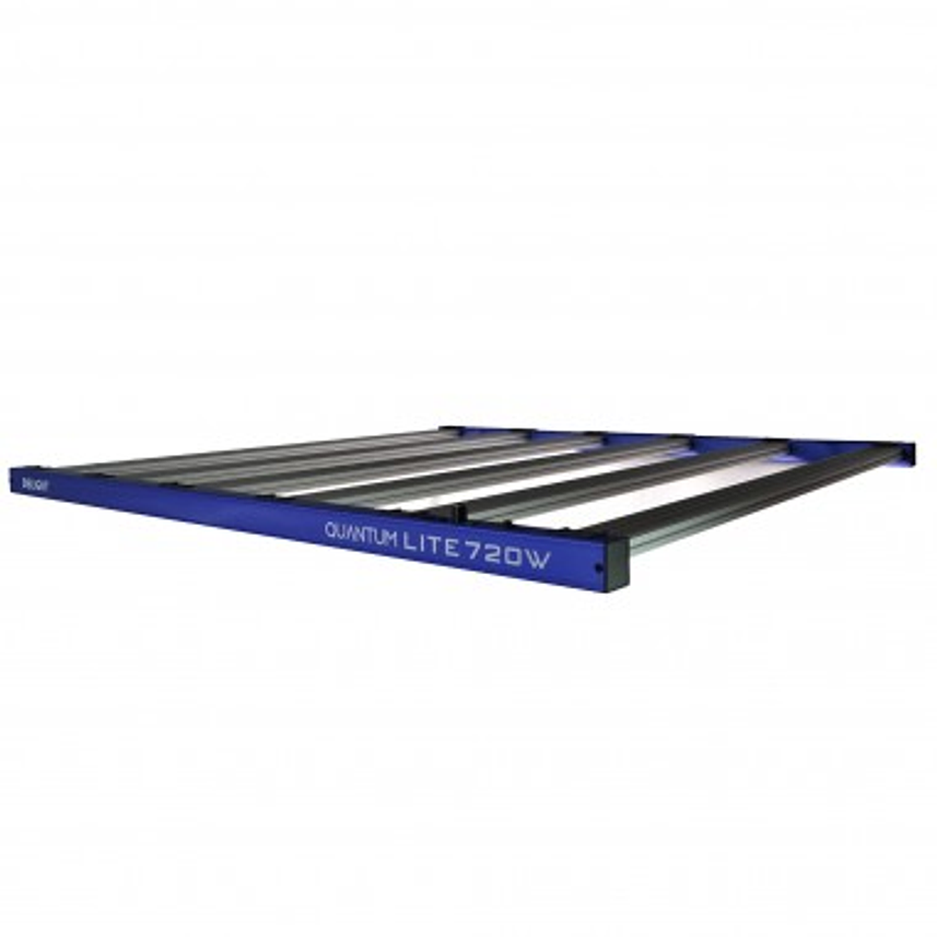 NEW QUANTUM LITE 720W-DELIGHT 3