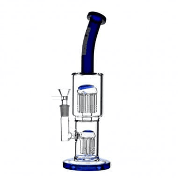 CLASSY BLUE-BONGLAB 1