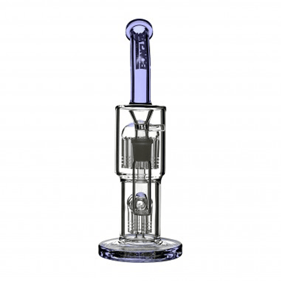 CLASSY PURPLE-BONGLAB 2