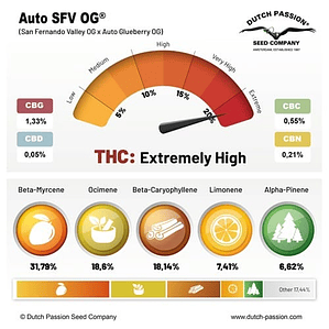 SFV OG AUTO X3-DUTCH PASSION