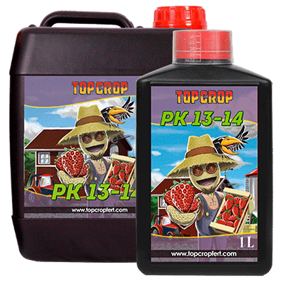 PK 13/14 1LT-TOP CROP 1