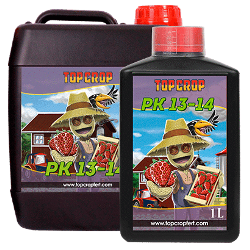 PK 13/14 1LT-TOP CROP 1