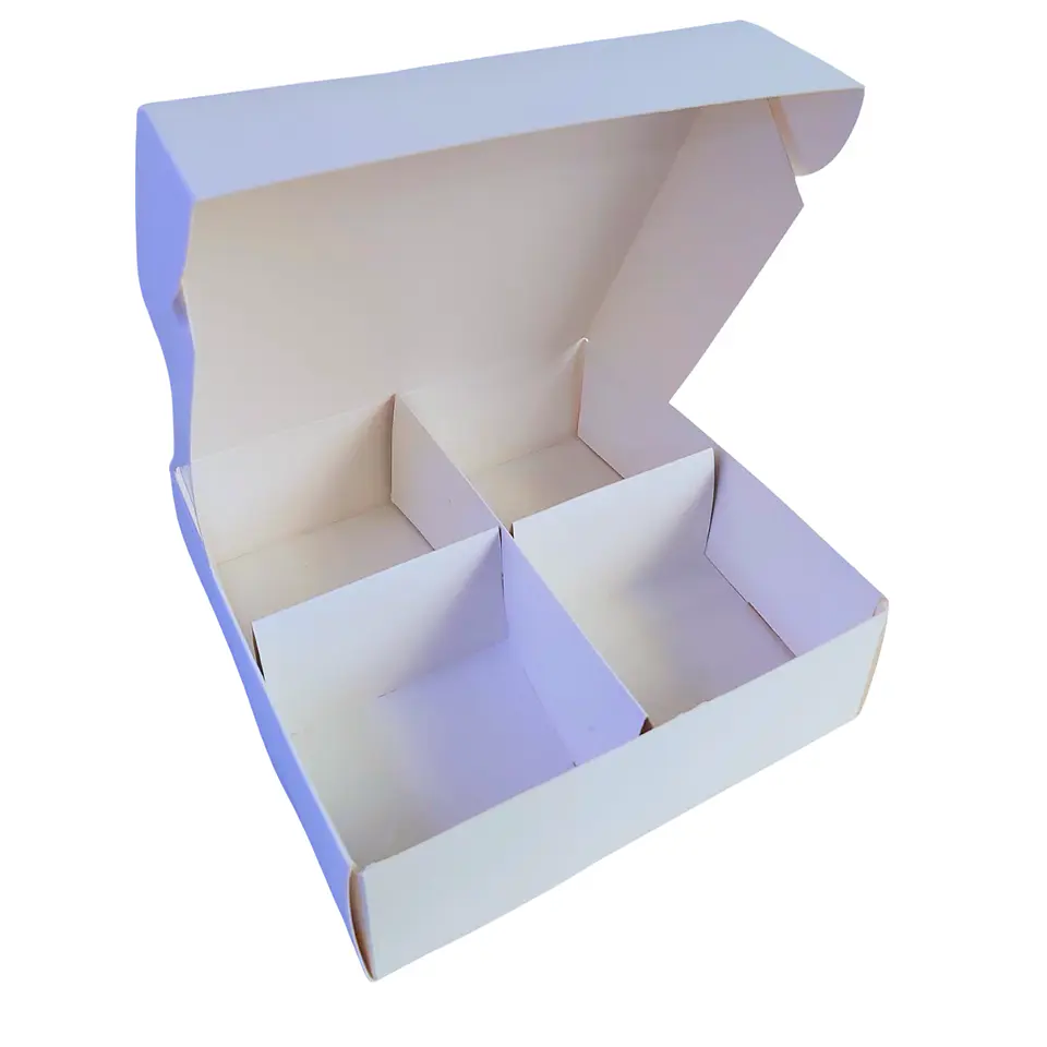 caja autoarmable con 4 divisiones 20x20x6 1