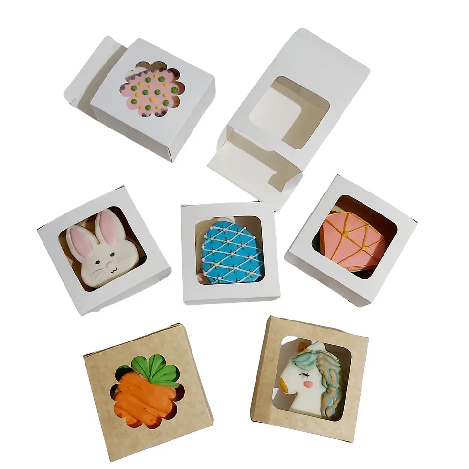 caja 10x10x4 cm con visor 3