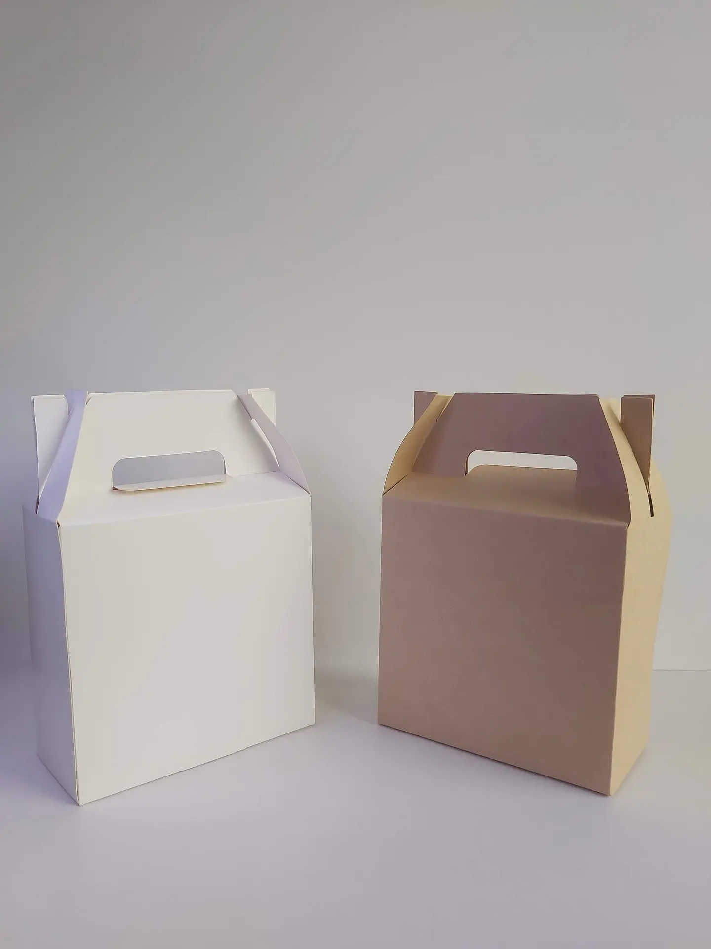 Caja con Asas cartulina blanca medida 17x8x17 cm und 3