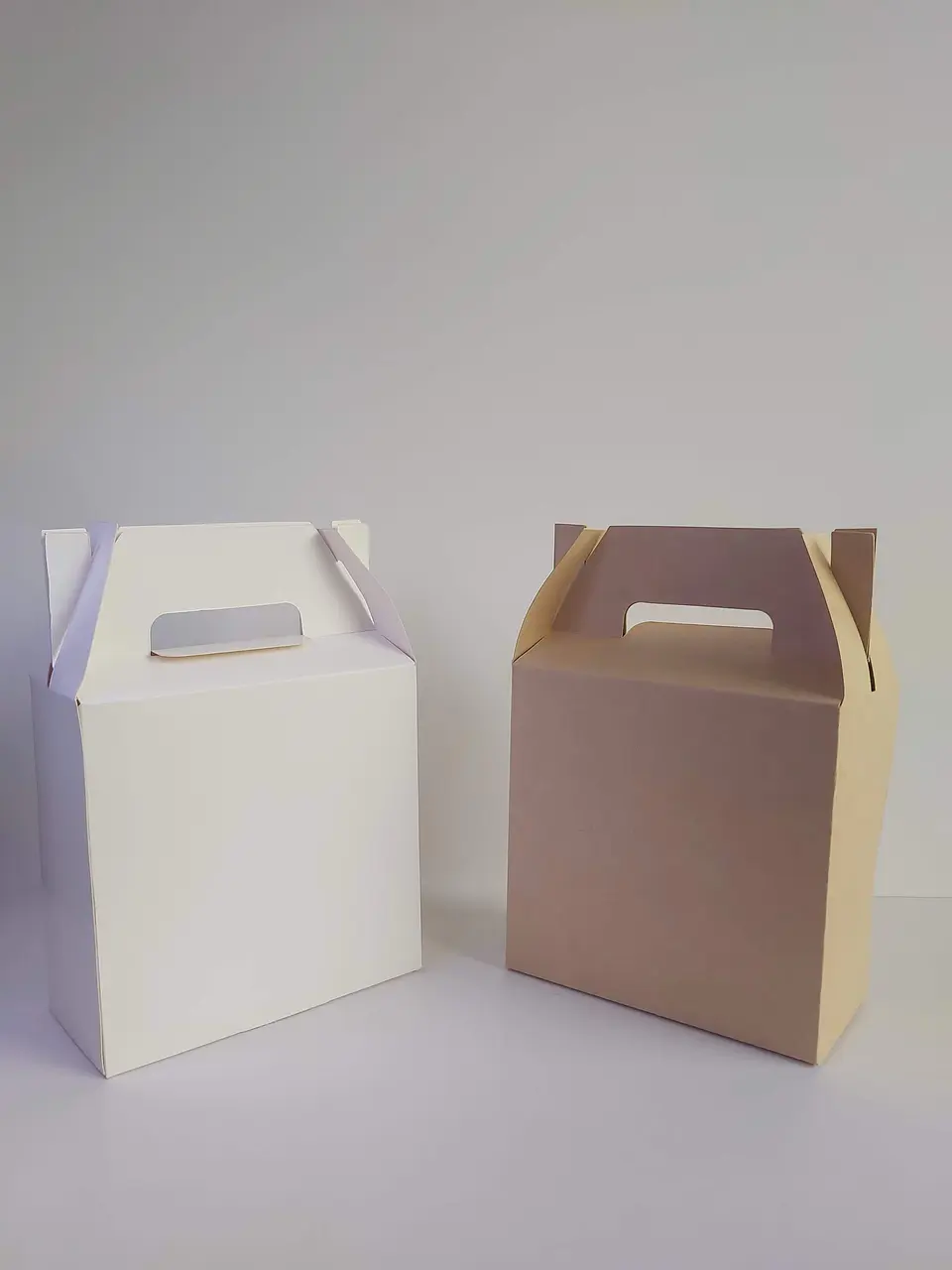 Caja con Asas cartulina blanca medida 17x8x17 cm und 3