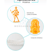 RESINA TRANSPARENTE PARA IMPRESORAS 3D 500g CREALITY | RESINA