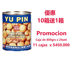 Champiñon 800grs - YuPin