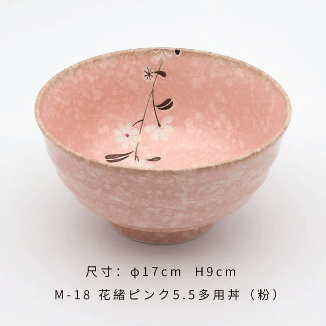 Tazon de Ramen Ceramico Minoyaki 6.5" ( Hecho en Japon )