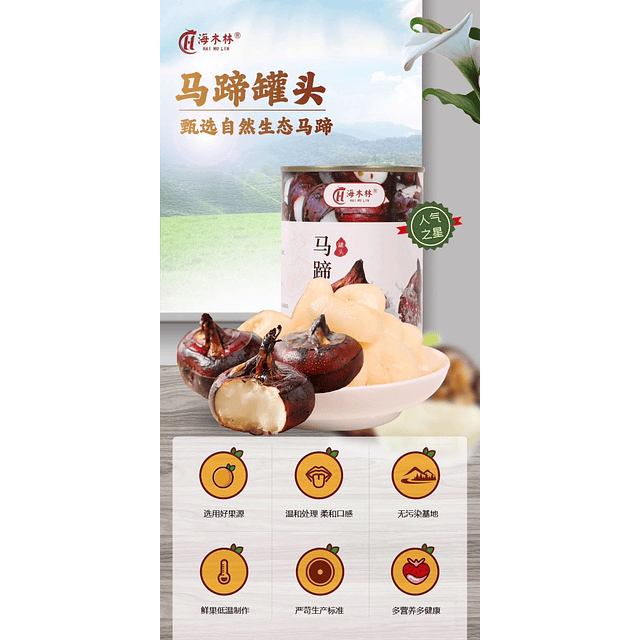 糖水馬蹄罐頭 425克 - 海木林