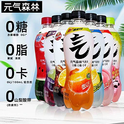 汽泡水 480ml - 元氣森林