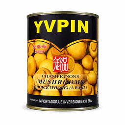 Champiñones Enteros en Conserva 800 g - YVPIN