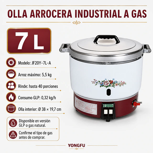Olla Arrocera a Gas 30 Personas