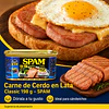 Carne de Almuerzo en Lata Classic Original 198g