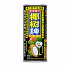 Jugo y Bebida Natural de Coco 245ml